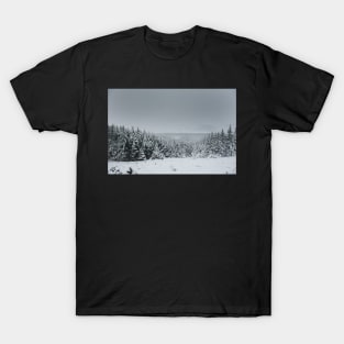 Forest in Wicklow Gap Snow T-Shirt